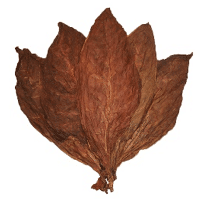 7 YEAR CRIOLLO