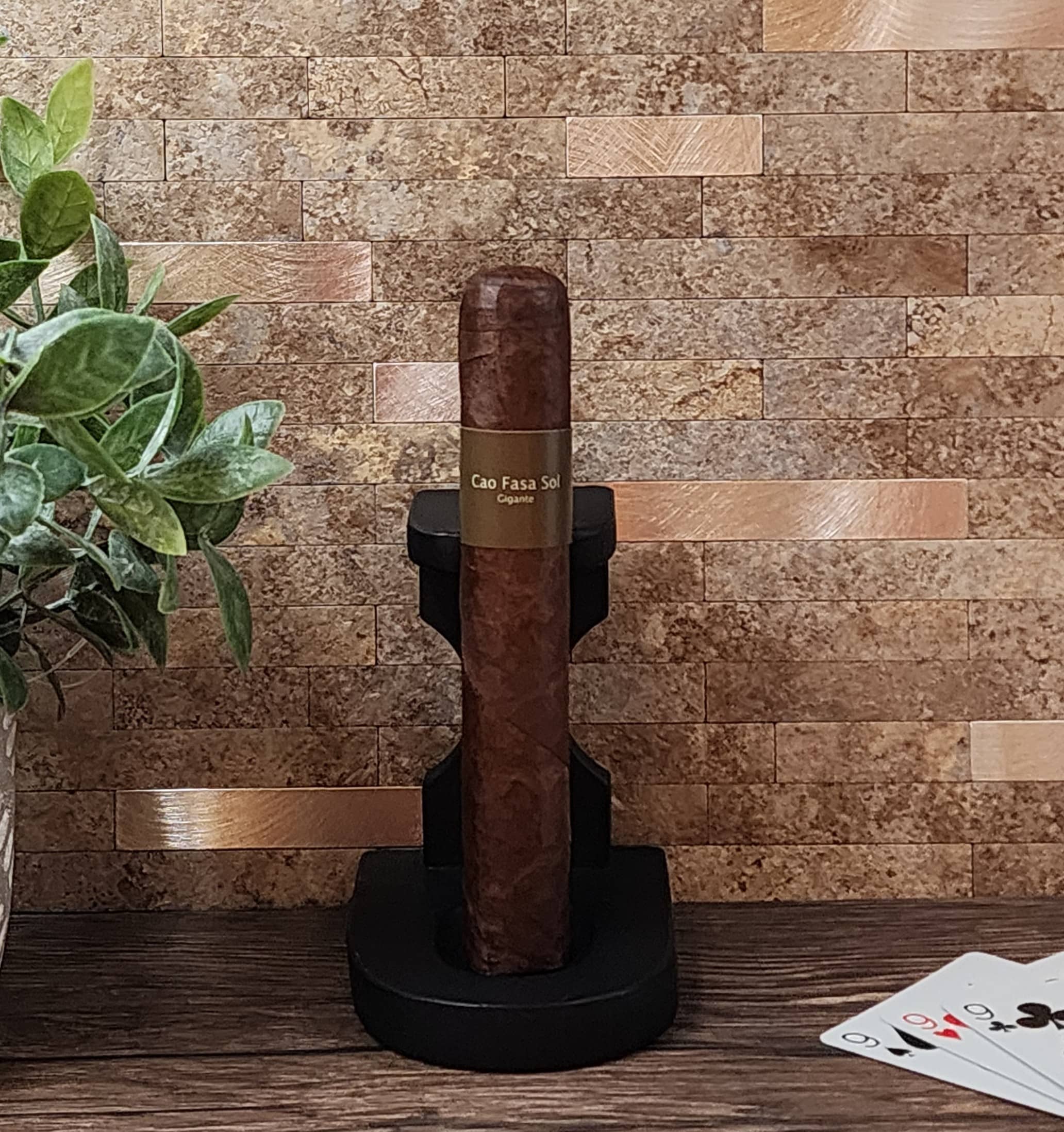 Cao Fasa Sol Gigante (2)